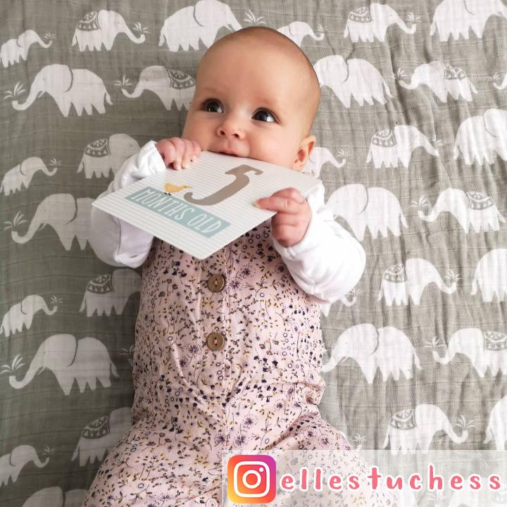 Four Layer Elephant Cotton Blanket